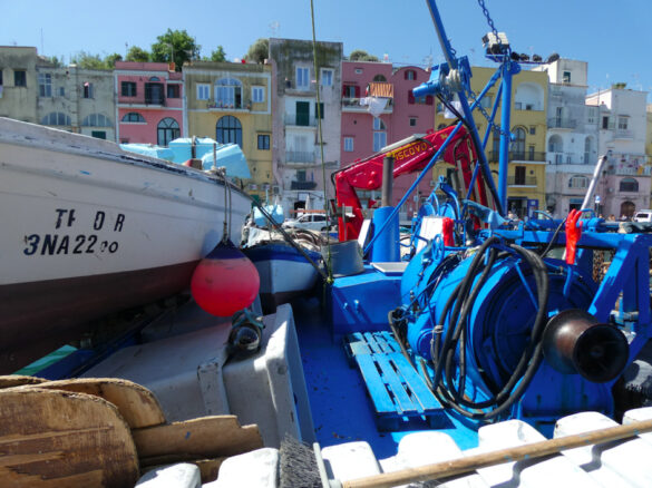 “La cura del mare” a Procida