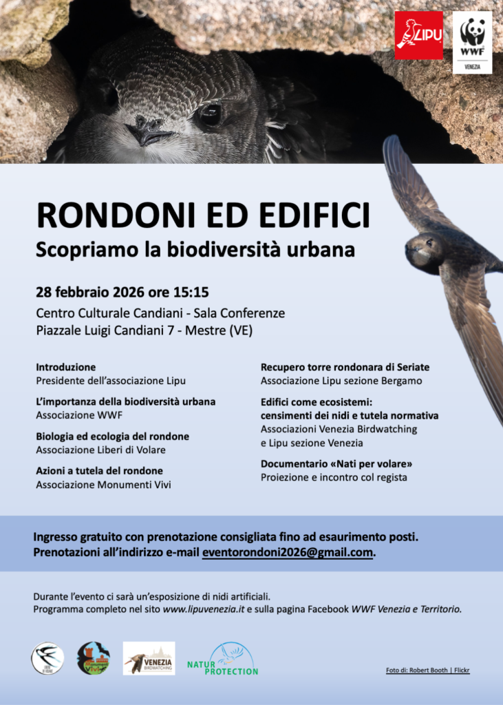 “Rondoni ed Edifici”, a Venezia