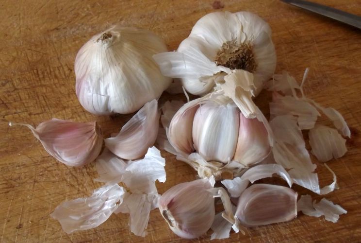 Dalla Regina Cipolla al Principe Aglio