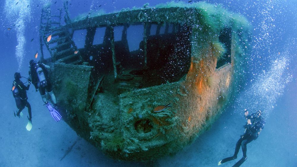 MyShot 2026, Underwater Photo Contest
