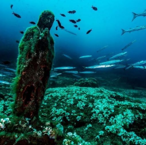 Le Aquile di mare e la Madonnina sommersa, il video